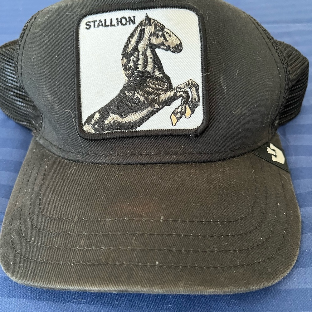 The Farm Goorin Brothers Black Mesh Cap